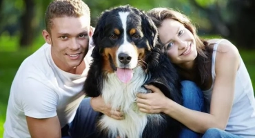 Кучето се разкъсва с жълта пяна с течност: защо се случва това